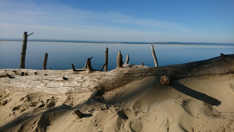 Evjf Arcachon ou Cap-Ferret, la dune du Pilat un site incontournable