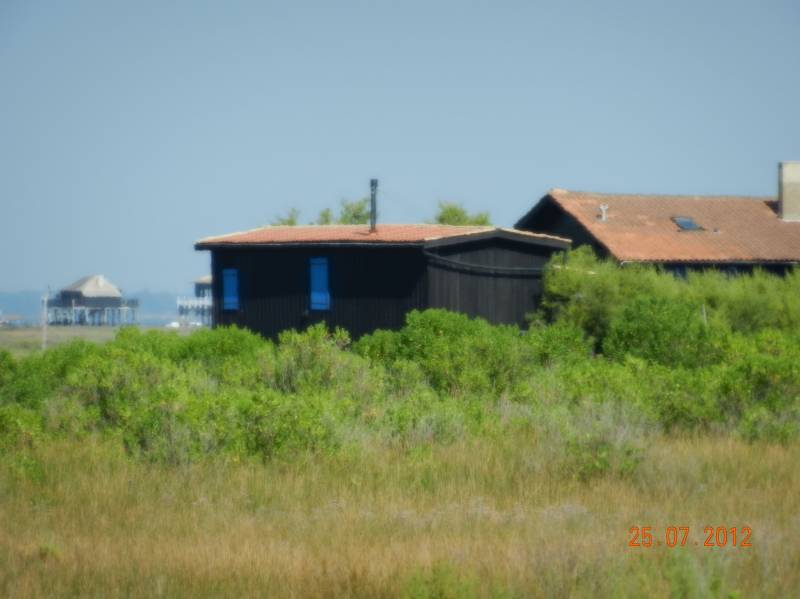 cabanes sur l'îla aux oiseaux