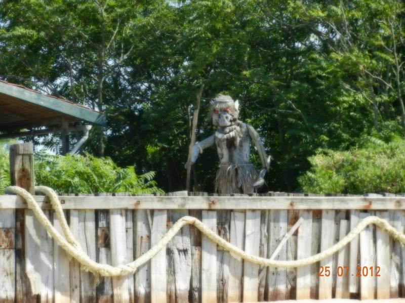 réalisation insolite sur l'île aux oiseaux